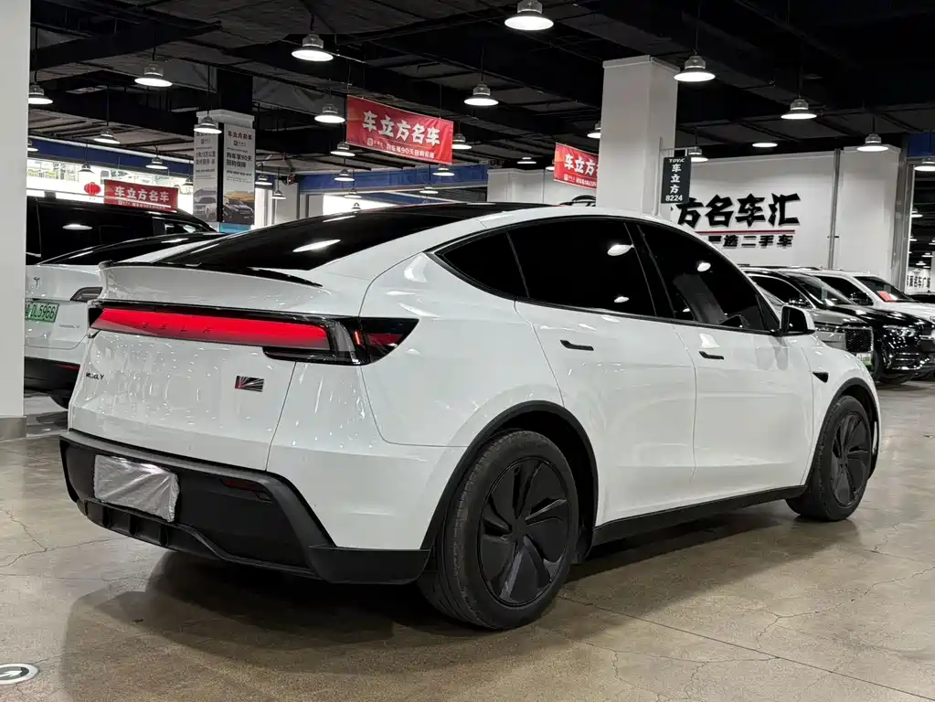 Tesla Model Y — миниатюра 9