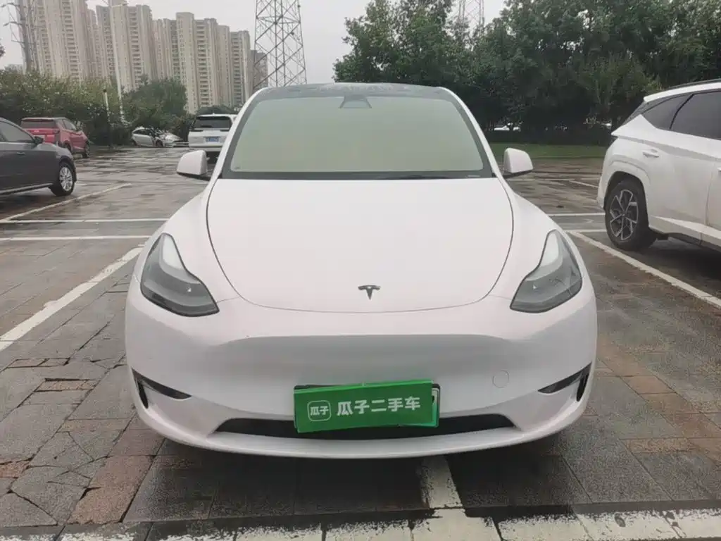 Tesla Model Y — миниатюра 3