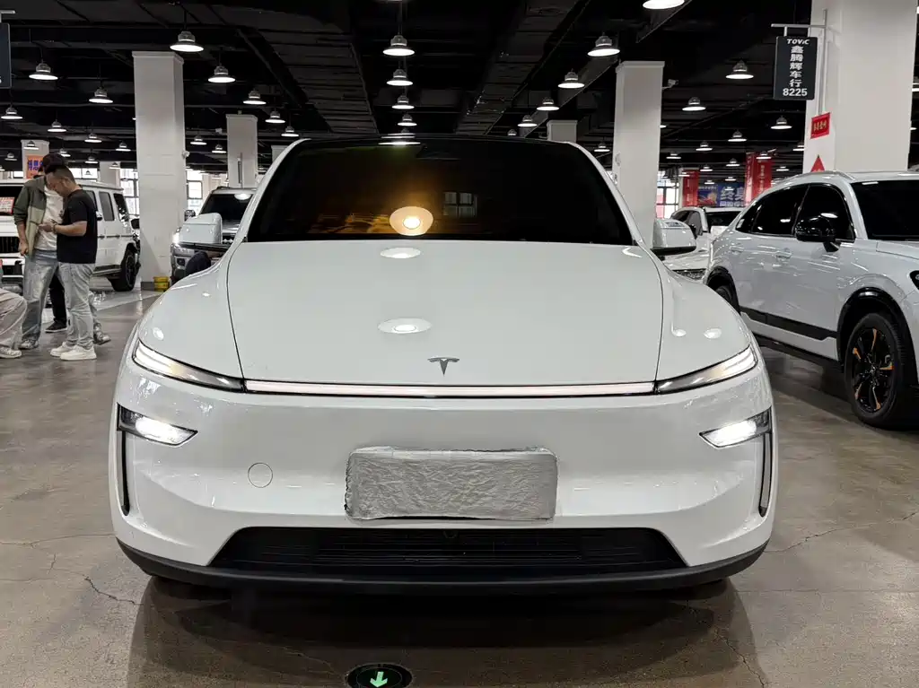Tesla Model Y — миниатюра 2