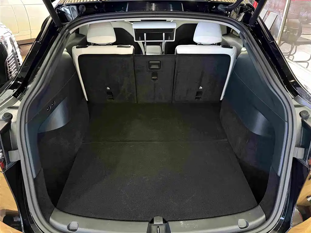 Tesla Model Y — миниатюра 7