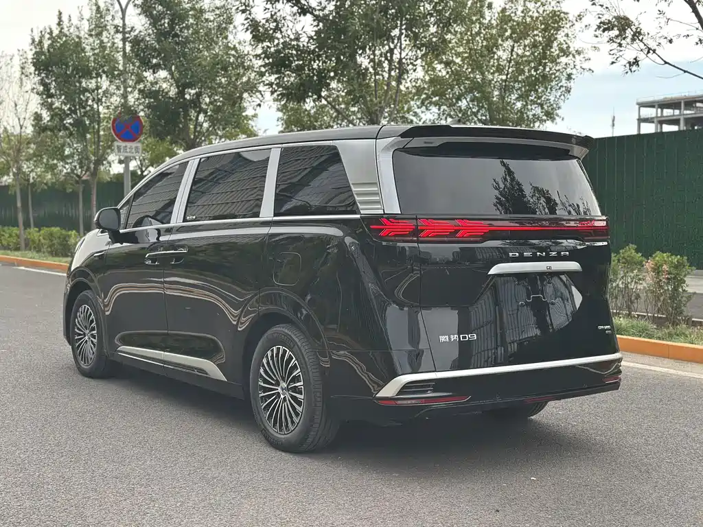 Denza Denza D9 — миниатюра 5