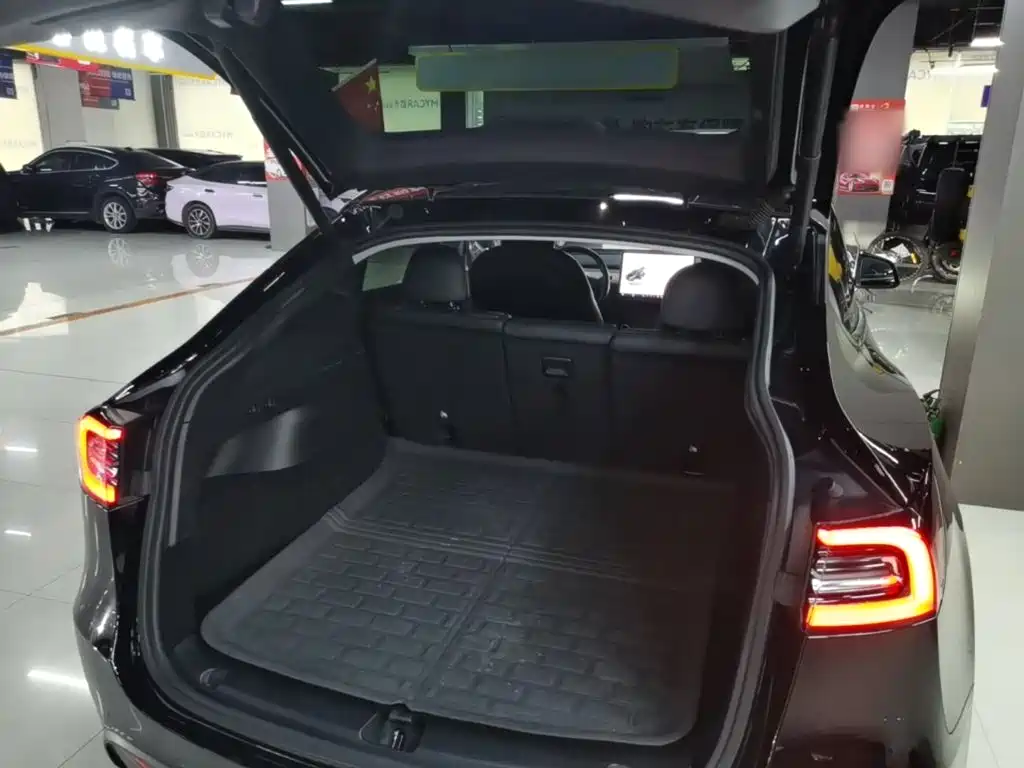 Tesla Model Y — миниатюра 19
