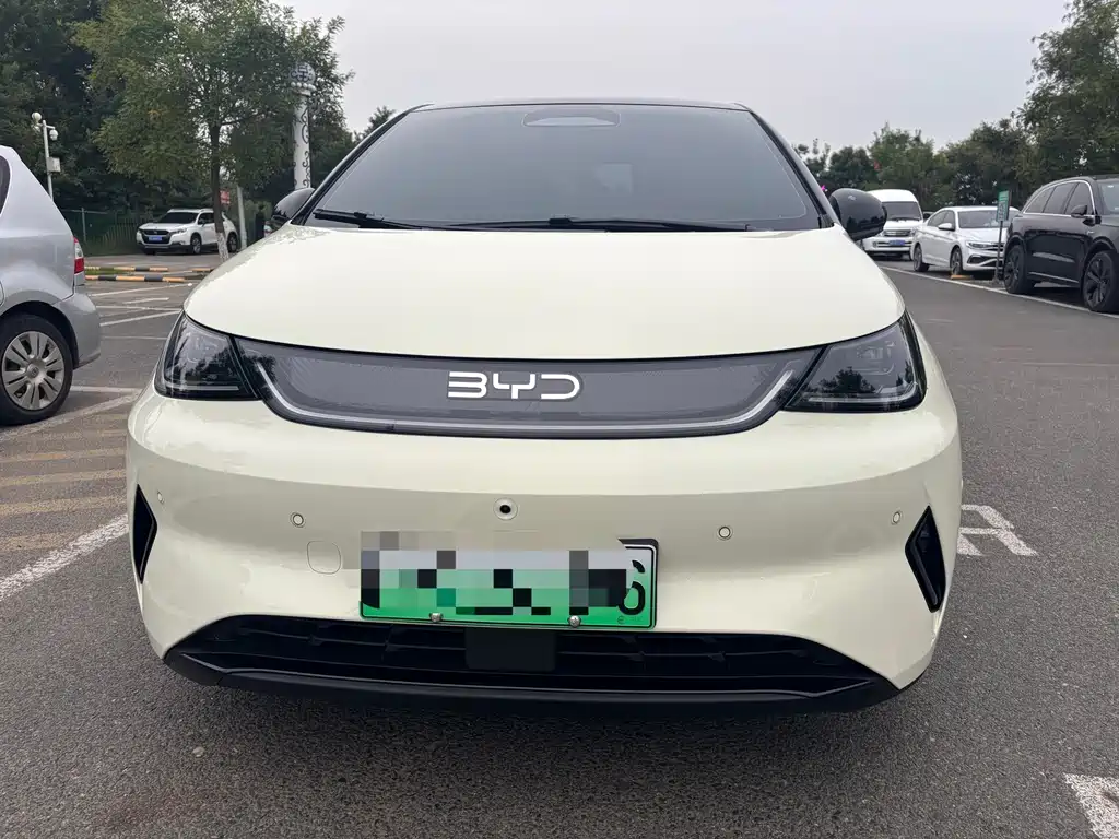 BYD Dolphin — миниатюра 4