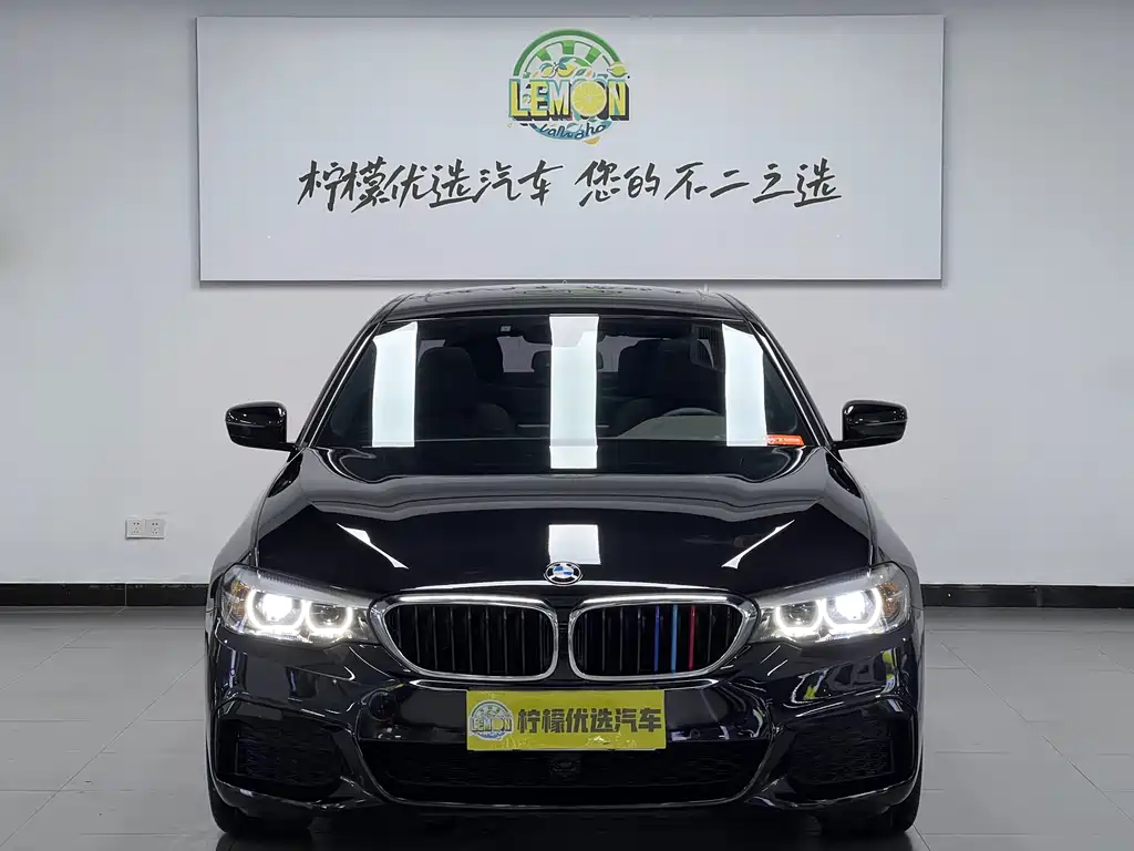 BMW 5 Series 5 2020 525Li M Sport