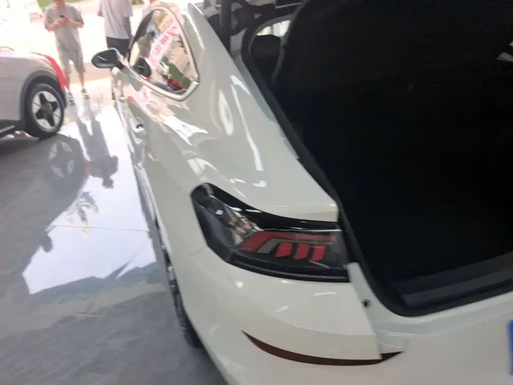 Volkswagen Lamando — миниатюра 5