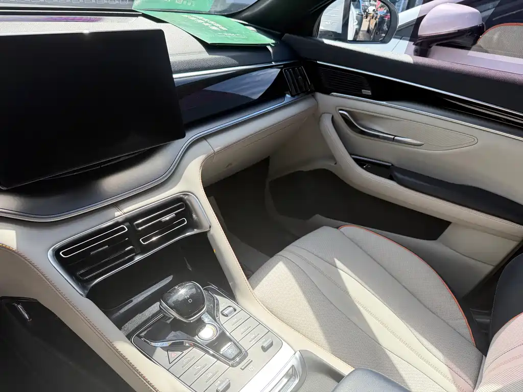 BYD PLUS New Energy — миниатюра 5