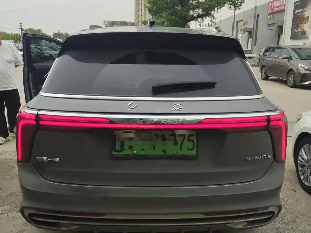 Hongqi E-HS9 2021 510km мест