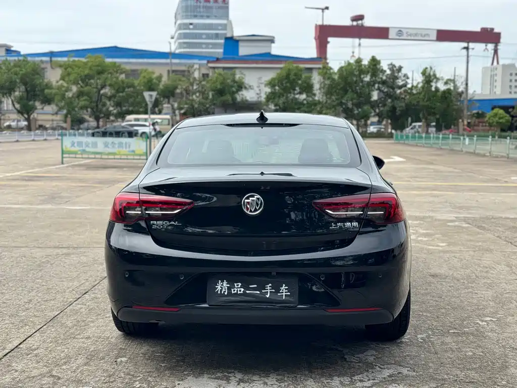 Buick Regal — миниатюра 13