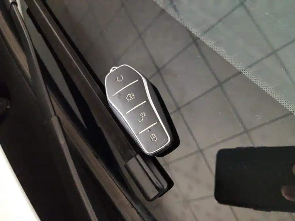 BYD Qin Plus PLUS 2024 DM-i 55KM Lead