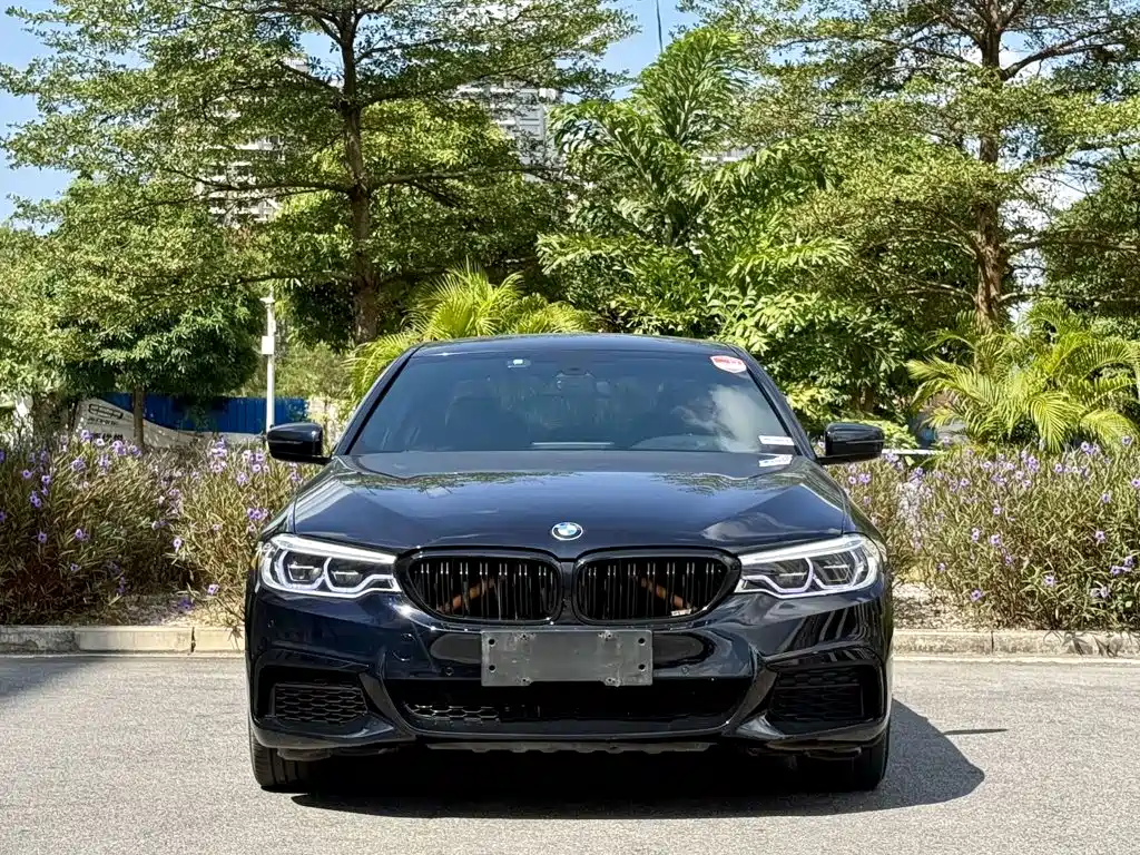 BMW 5 Series — миниатюра 3