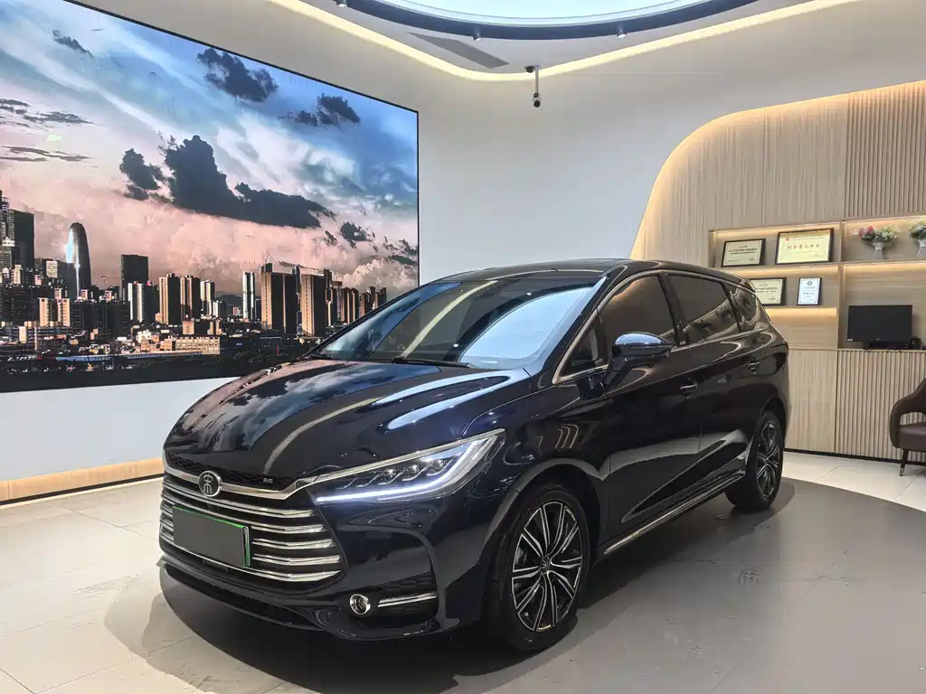 Byd MAX New Energy 2021