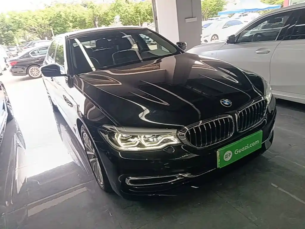 BMW 5 Series 5 2019 530Le