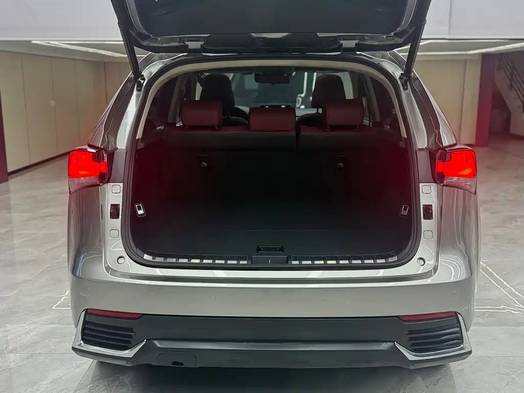 Lexus NX — миниатюра 25