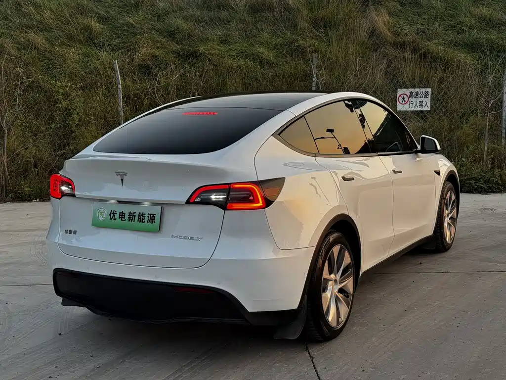 Tesla Model Y — миниатюра 11