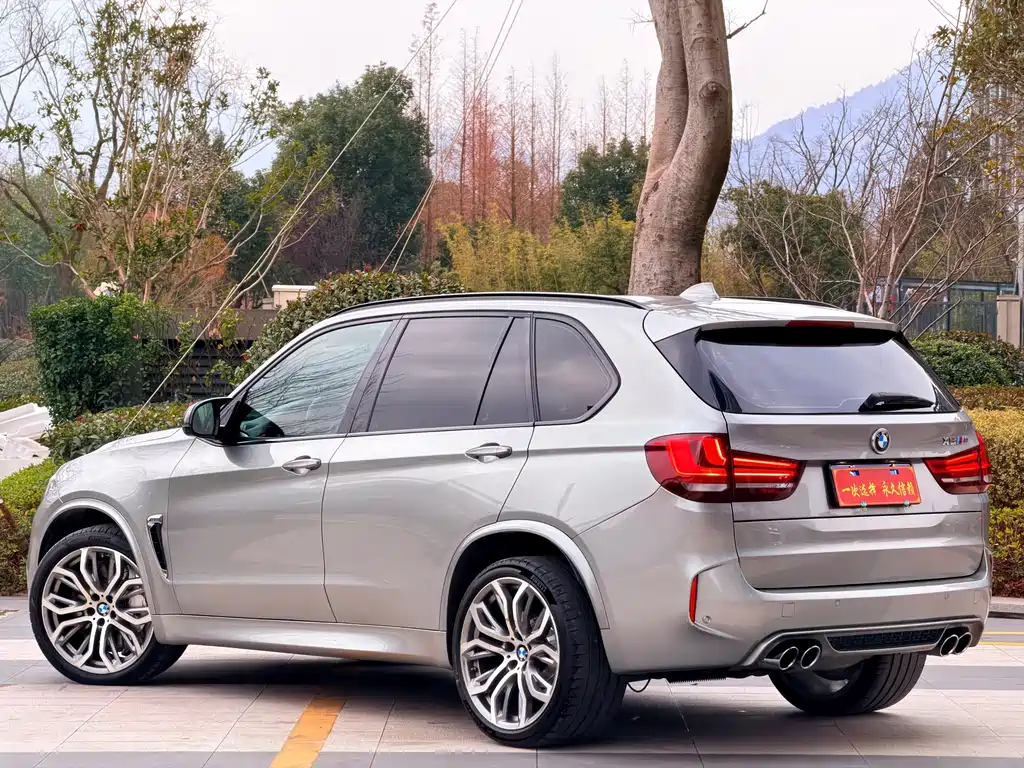 BMW X5 M X5 M, фото 37