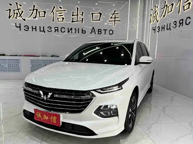 WULING WULING CAPGEMINI