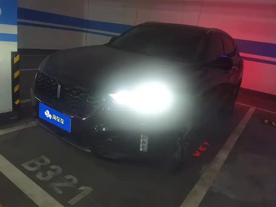 Купить Wey Wey VV6