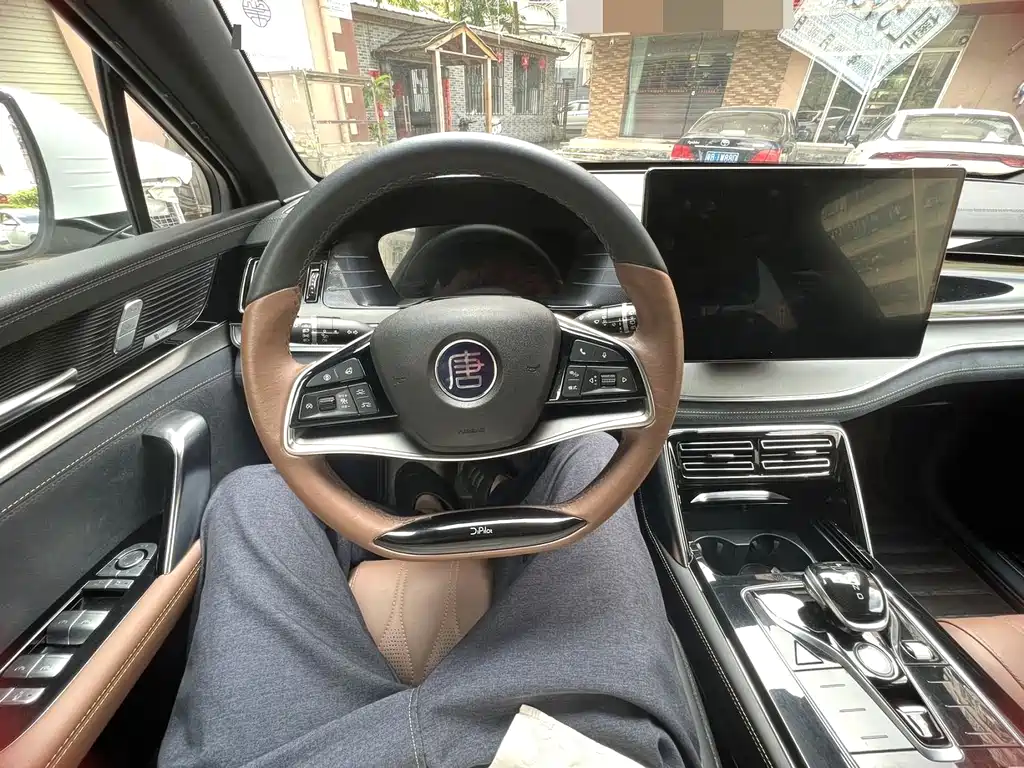 BYD Tang New Energy — миниатюра 12