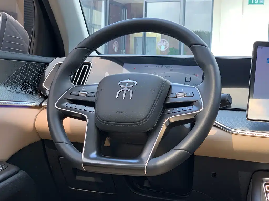 BYD Pro New Energy — миниатюра 19