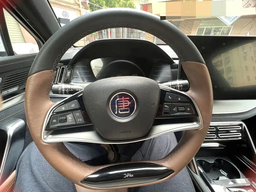BYD Tang New Energy — миниатюра 11