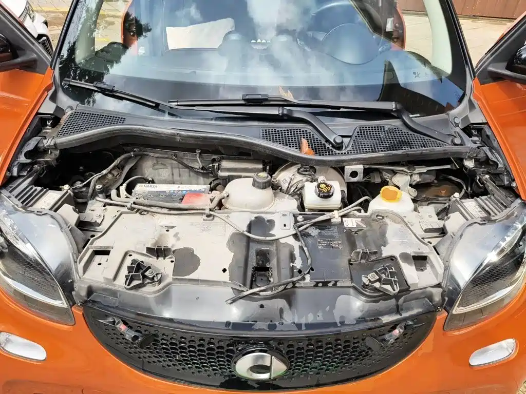 smart Smart Forfour — миниатюра 11