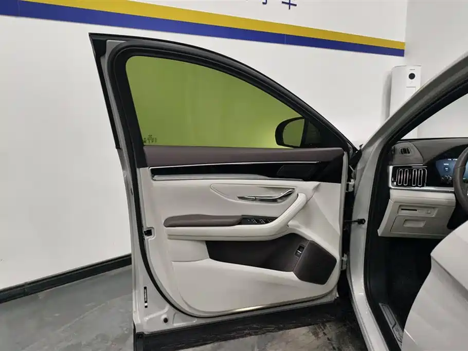 BYD SONGJIANG NEW ENERGY