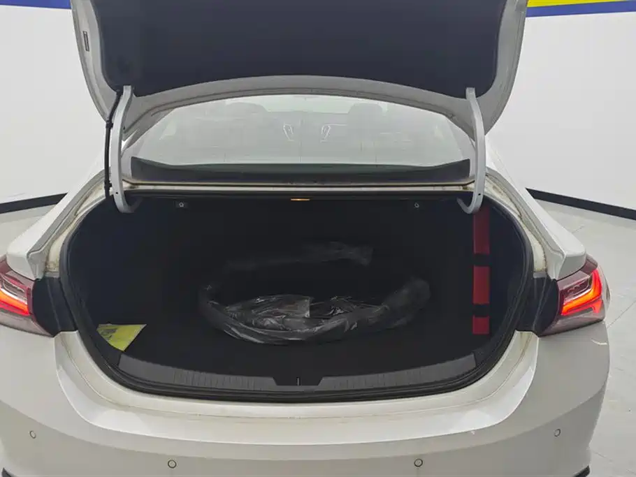 CHEVROLET MAI RUIBAO XL