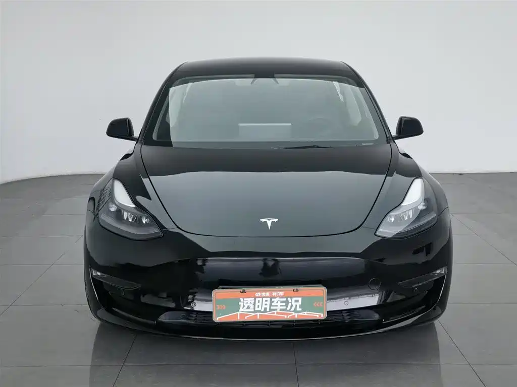 Tesla Model 3 2021 Performance