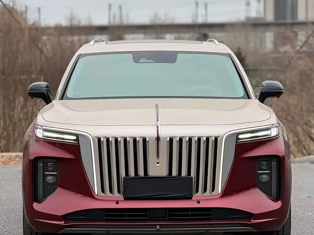 Hongqi HONGQI E HS9