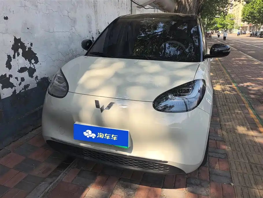 Wuling Binguo 2024 333km Enjoy