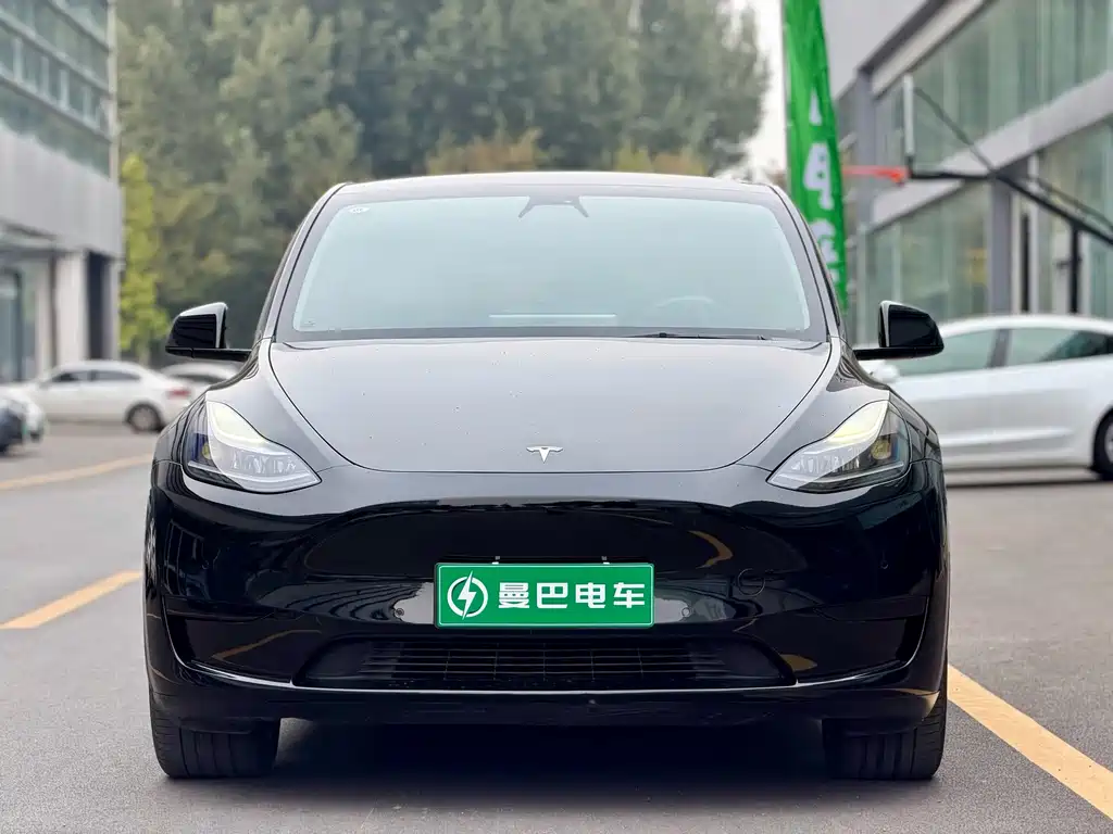 Tesla Model Y — миниатюра 3