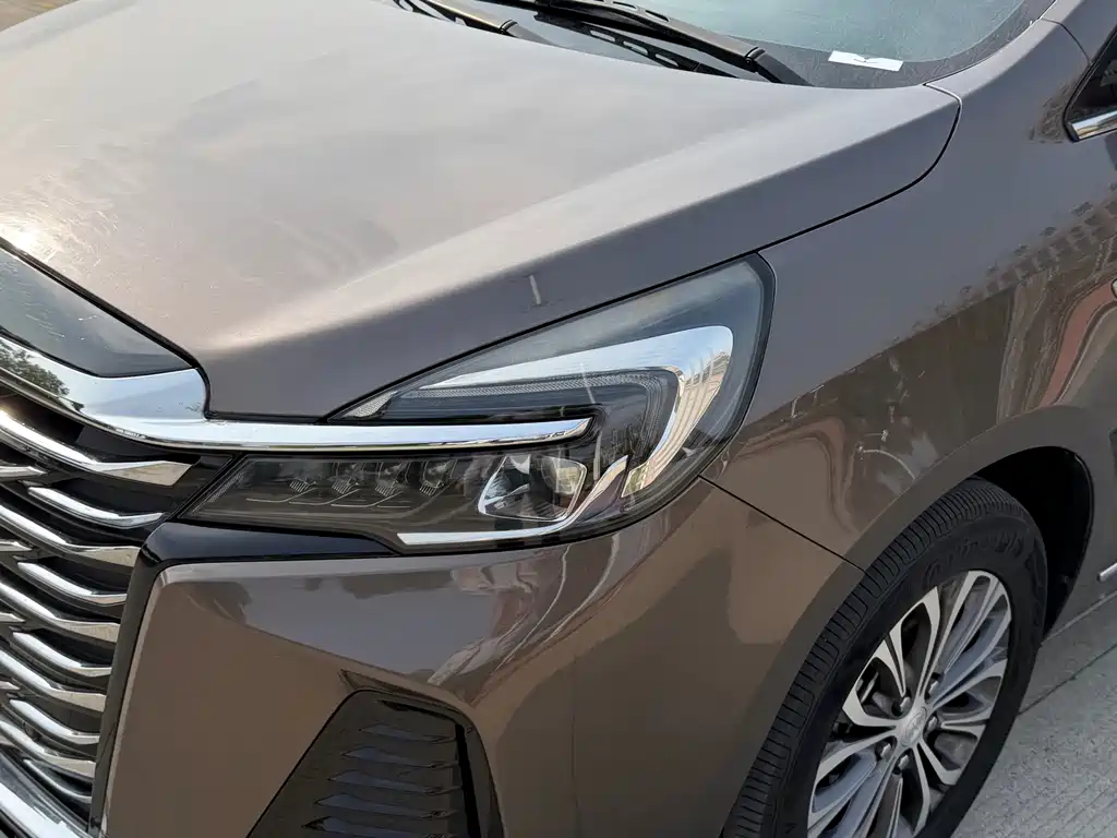 Buick GL8 — миниатюра 6
