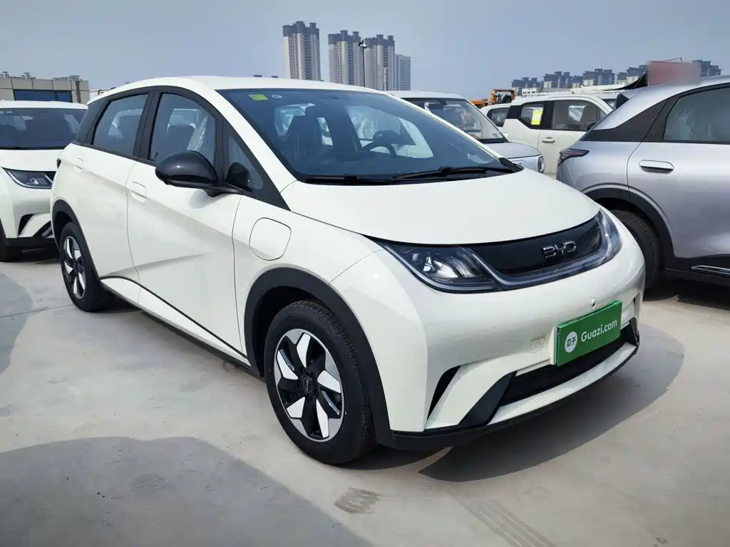 BYD Dolphin 2025 420km Freedom