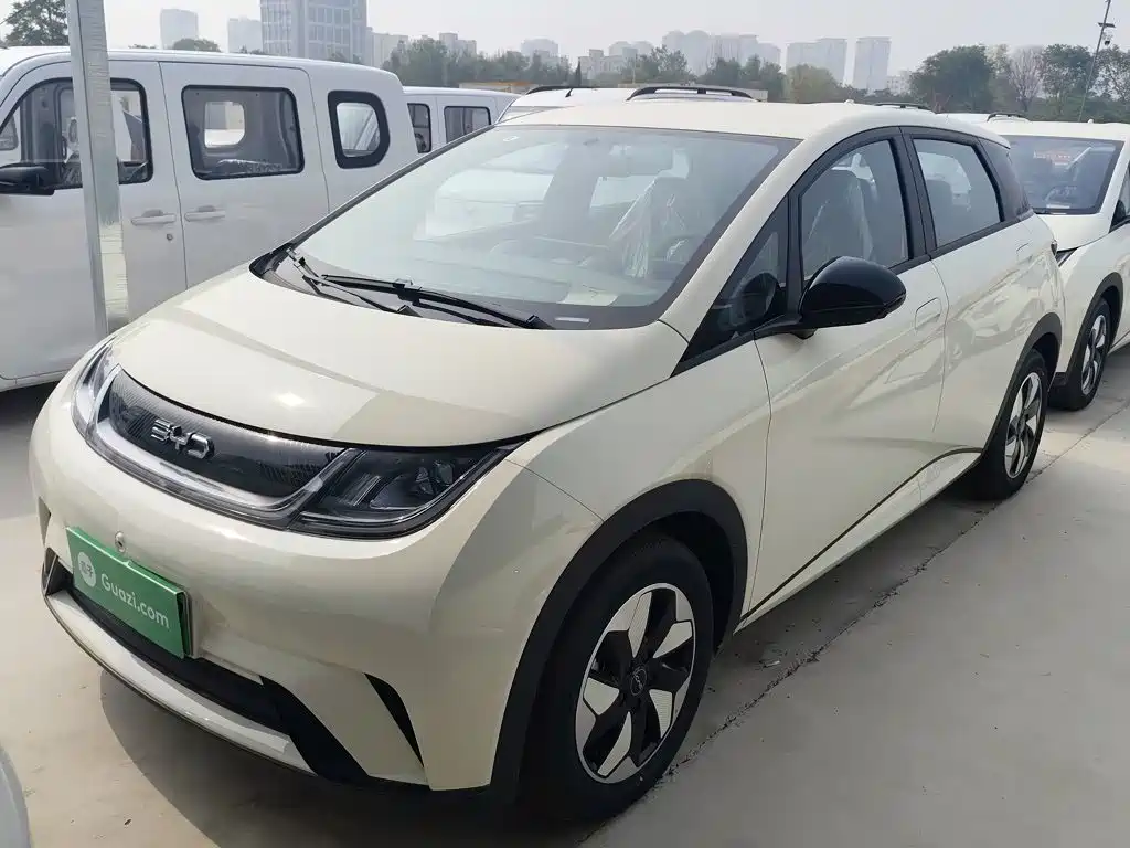 BYD Dolphin 2025 420km Freedom