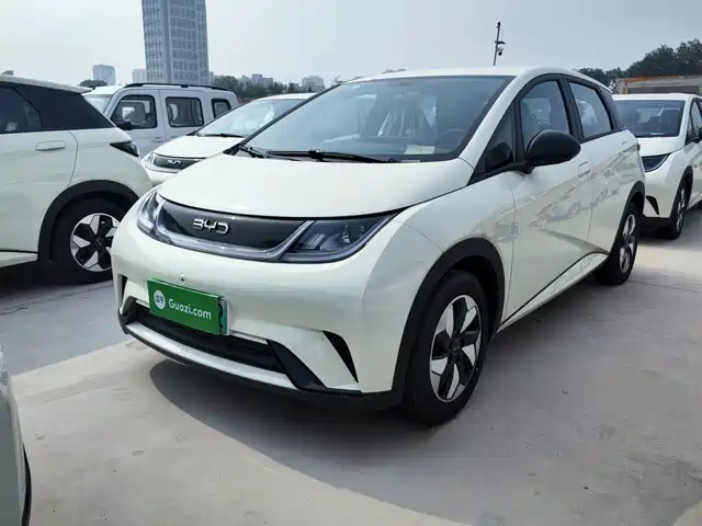 2026 BYD Dolphin