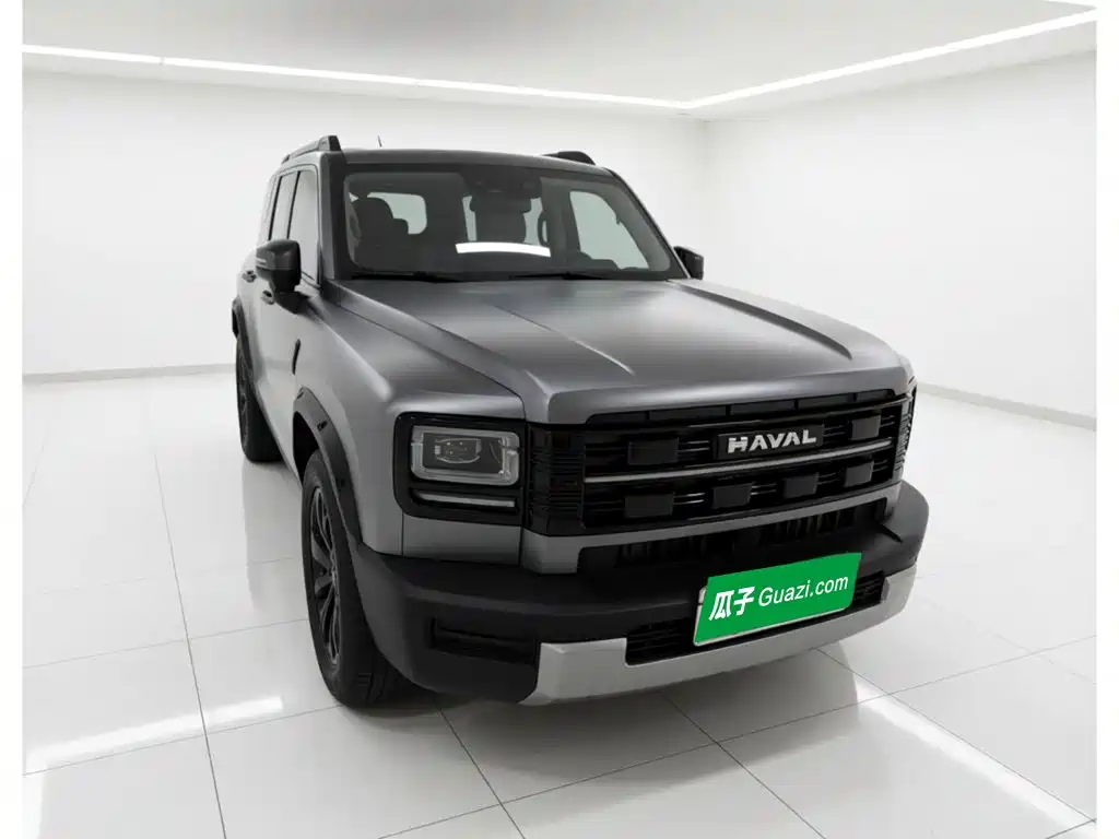 Haval Menglong New Energy — миниатюра 3