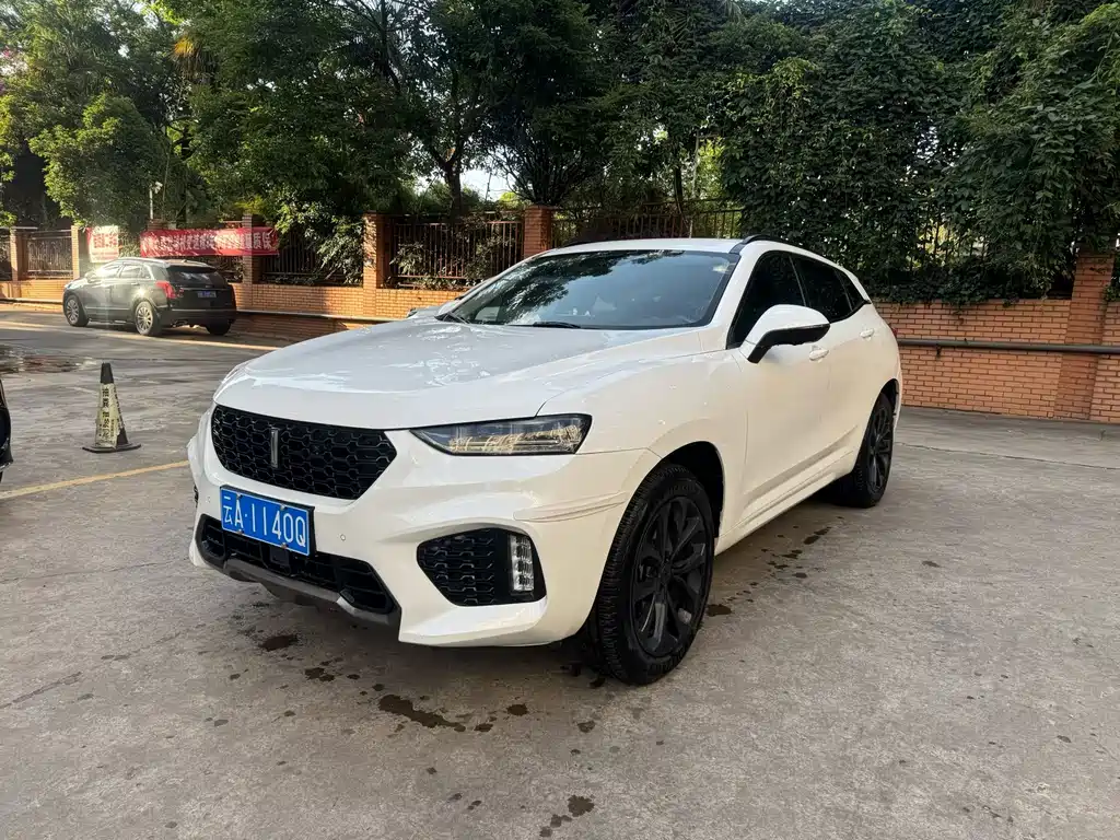 Купить Wey Wey VV7