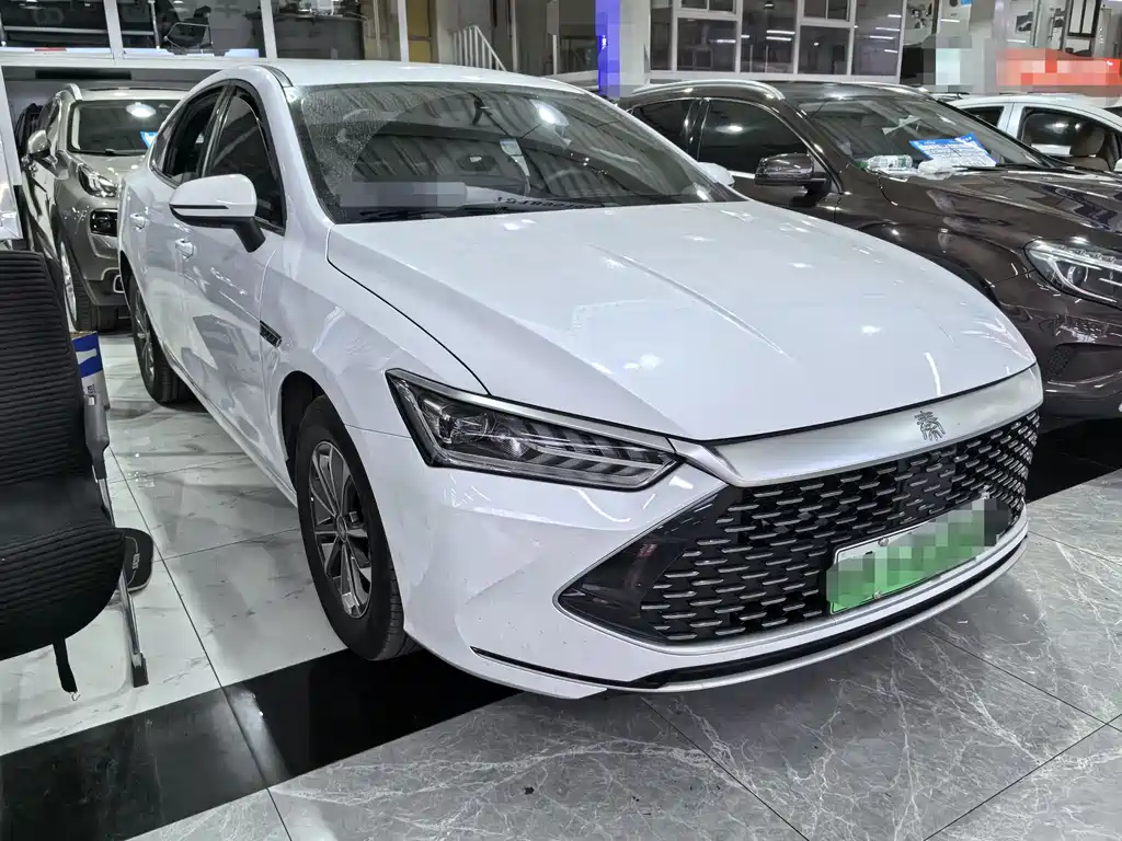 BYD Qin Plus PLUS 2024 DM-i 55KM Lead