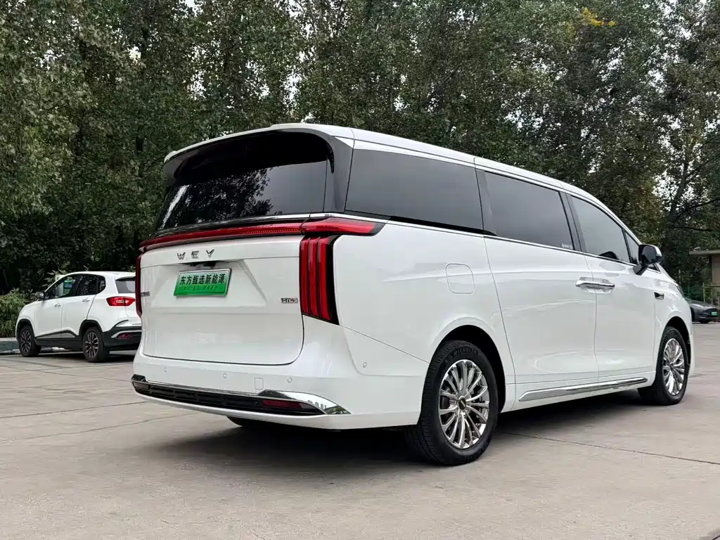 Wey Wey Gaoshan — миниатюра 12