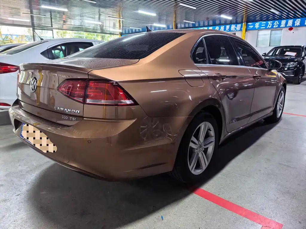 Volkswagen Lamando — миниатюра 8