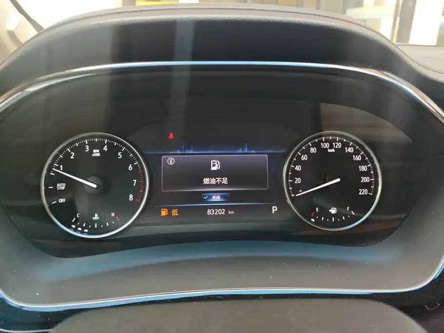 Buick GL8 — миниатюра 14