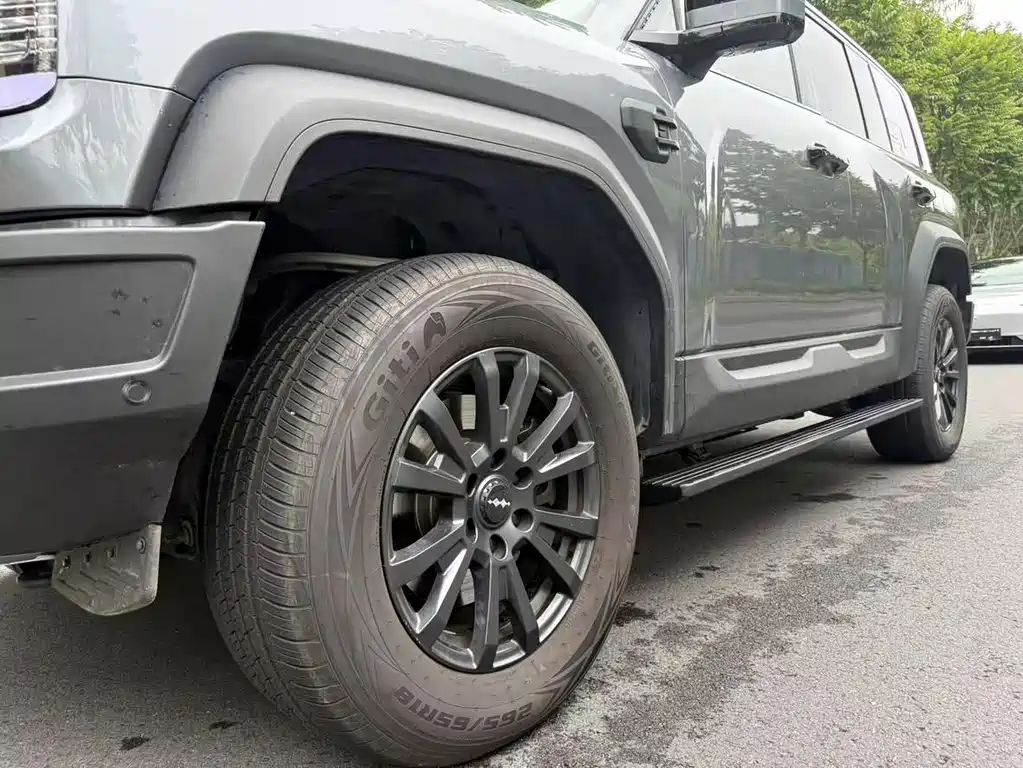 FANG CHENG BAO LEOPARD 5