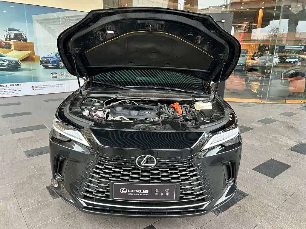 LEXUS RX NEW ENERGY