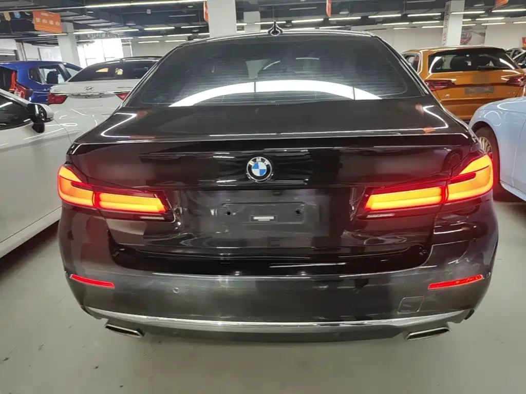 BMW 5 Series 5 2022 525Li Luxury