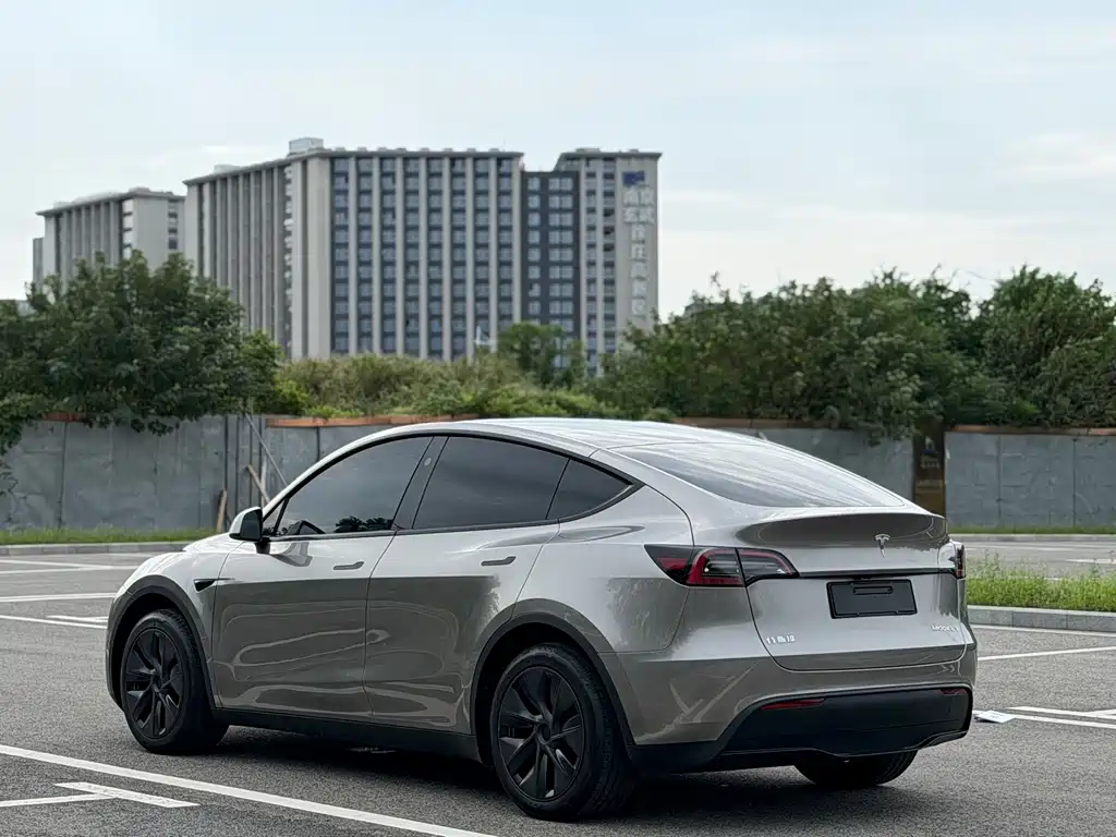 Tesla Model Y — миниатюра 17