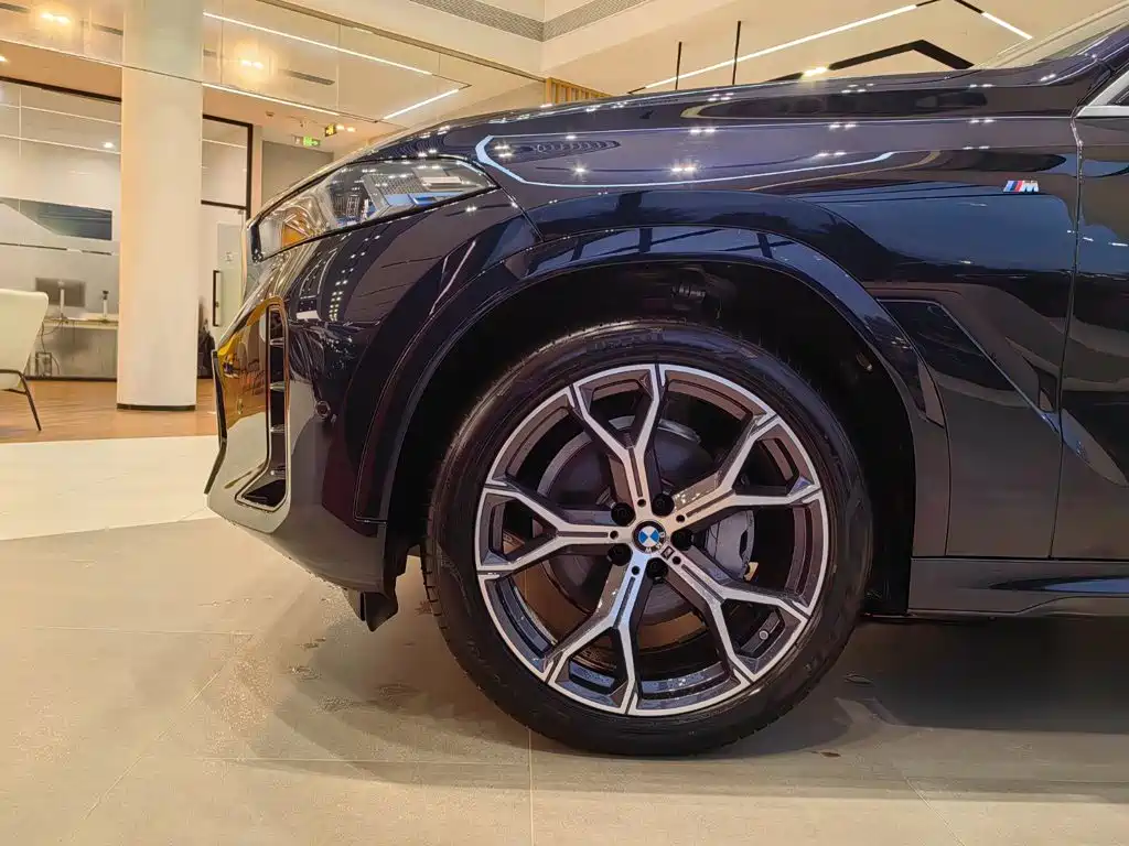 BMW X6 — миниатюра 17