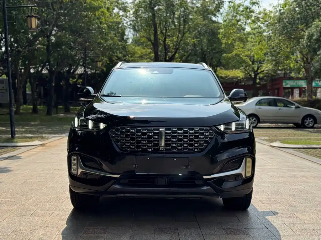 Wey Wey VV6 — миниатюра 3