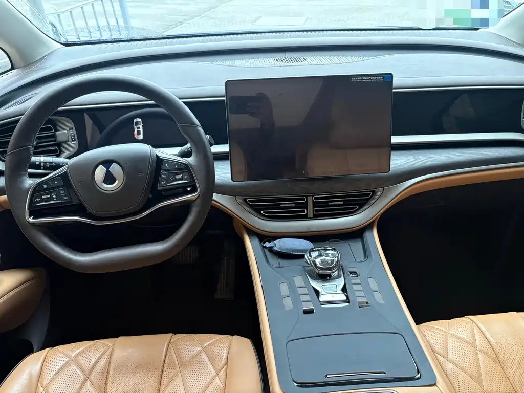 Denza Denza D9 — миниатюра 3