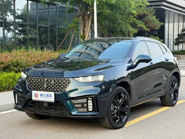 2021 Wey VV7