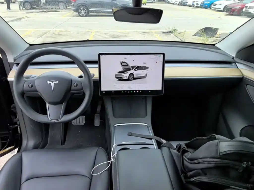 Tesla Model Y — миниатюра 10